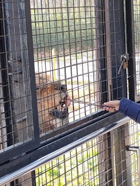 那須サファリパークに投稿された画像（2023/1/8）