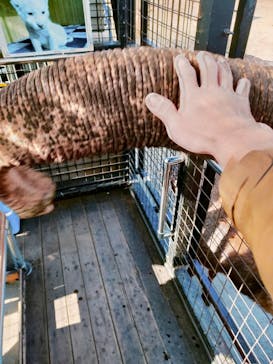 那須サファリパークに投稿された画像（2023/1/8）