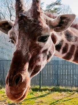 那須サファリパークに投稿された画像（2023/1/8）