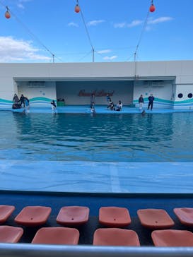 南知多ビーチランド＆南知多おもちゃ王国に投稿された画像（2023/1/8）