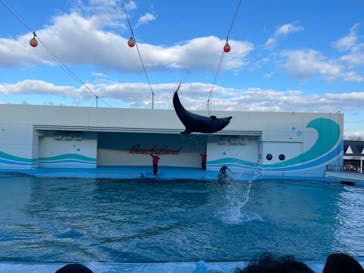 南知多ビーチランド＆南知多おもちゃ王国に投稿された画像（2023/1/8）