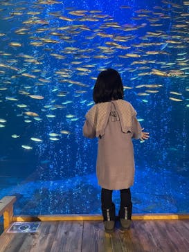 南知多ビーチランド＆南知多おもちゃ王国に投稿された画像（2023/1/8）