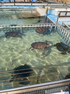 南知多ビーチランド＆南知多おもちゃ王国に投稿された画像（2023/1/8）