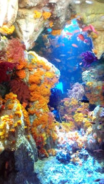 サンシャイン水族館に投稿された画像（2023/1/8）