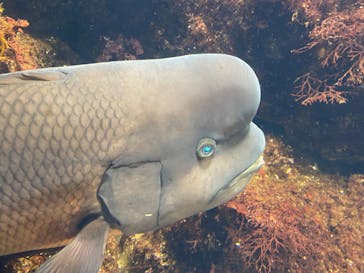 新江ノ島水族館に投稿された画像（2023/1/8）