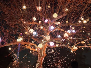 西武園ゆうえんちに投稿された画像（2023/1/8）