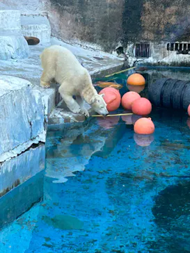 天王寺動物園に投稿された画像（2023/1/8）