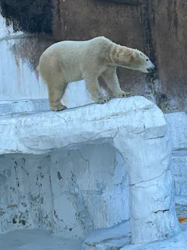 天王寺動物園に投稿された画像（2023/1/8）