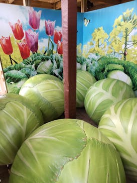 鈴鹿サーキットに投稿された画像（2023/1/8）