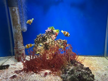 名古屋港水族館に投稿された画像（2023/1/8）