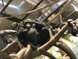 よこはま動物園ズーラシアに投稿された画像（2023/1/8）