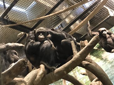 よこはま動物園ズーラシアに投稿された画像（2023/1/8）