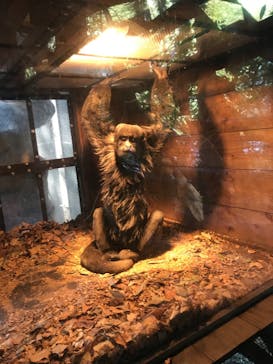 よこはま動物園ズーラシアに投稿された画像（2023/1/8）