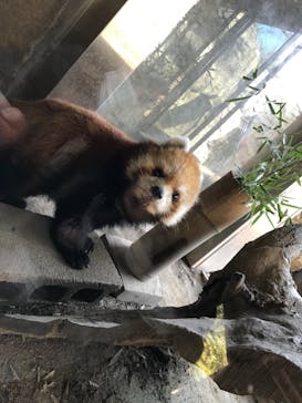 よこはま動物園ズーラシアに投稿された画像（2023/1/8）