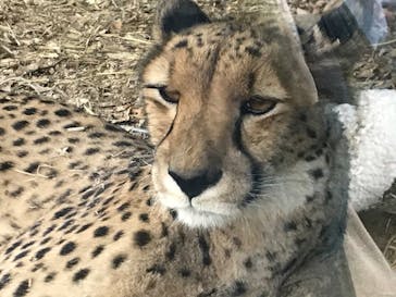 よこはま動物園ズーラシアに投稿された画像（2023/1/8）