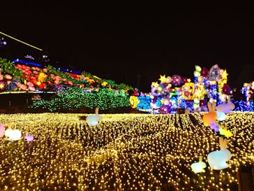 伊豆ぐらんぱる公園に投稿された画像（2023/1/8）