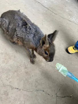 横浜・八景島シーパラダイスに投稿された画像（2023/1/8）