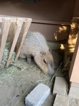 横浜・八景島シーパラダイスに投稿された画像（2023/1/8）