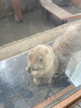 横浜・八景島シーパラダイスに投稿された画像（2023/1/8）