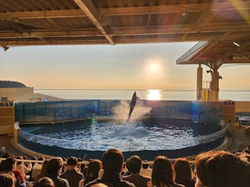 新江ノ島水族館に投稿された画像（2023/1/8）