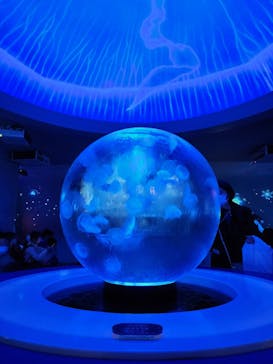 新江ノ島水族館に投稿された画像（2023/1/8）