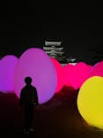 福山城400年博-FUKUYAMA CASTLE EXPO 2022- RCC開局70年 「チームラボ 福山城 光の祭」に投稿された画像（2023/1/8）