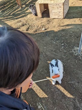 千葉市動物公園に投稿された画像（2023/1/8）