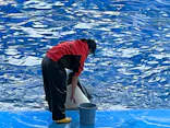 名古屋港水族館に投稿された画像（2023/1/8）