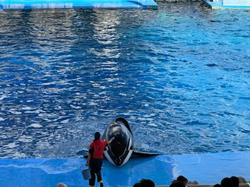名古屋港水族館に投稿された画像（2023/1/8）