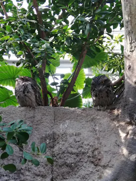 神戸どうぶつ王国に投稿された画像（2023/1/8）