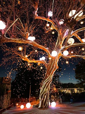 西武園ゆうえんちに投稿された画像（2023/1/8）