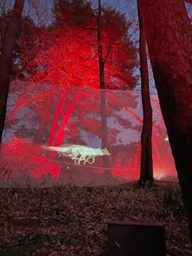 西武園ゆうえんちに投稿された画像（2023/1/8）