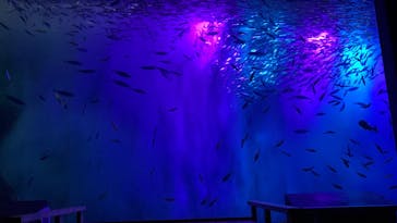 南知多ビーチランド＆南知多おもちゃ王国に投稿された画像（2023/1/8）