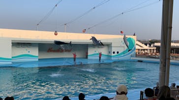 南知多ビーチランド＆南知多おもちゃ王国に投稿された画像（2023/1/8）