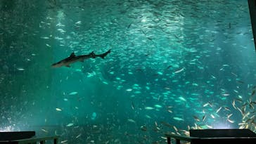 南知多ビーチランド＆南知多おもちゃ王国に投稿された画像（2023/1/8）