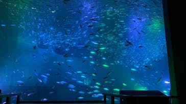 南知多ビーチランド＆南知多おもちゃ王国に投稿された画像（2023/1/8）