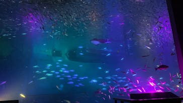 南知多ビーチランド＆南知多おもちゃ王国に投稿された画像（2023/1/8）