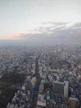 ハルカス300(展望台)に投稿された画像（2023/1/8）