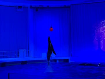 アクアワールド茨城県大洗水族館に投稿された画像（2023/1/8）