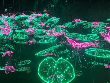 美らヤシパークオキナワ・東南植物楽園に投稿された画像（2023/1/8）