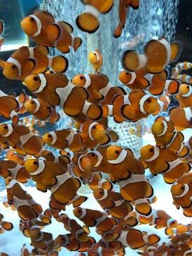 鴨川シーワールドに投稿された画像（2023/1/8）