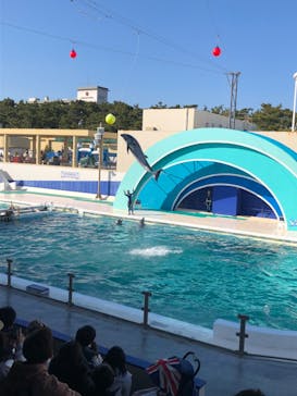 鴨川シーワールドに投稿された画像（2023/1/8）