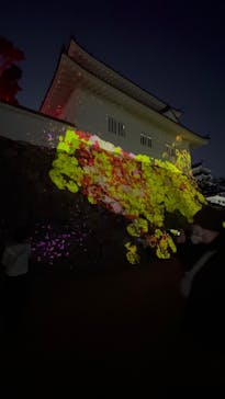 福山城400年博-FUKUYAMA CASTLE EXPO 2022- RCC開局70年 「チームラボ 福山城 光の祭」に投稿された画像（2023/1/8）