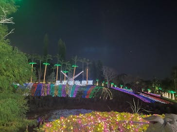 美らヤシパークオキナワ・東南植物楽園に投稿された画像（2023/1/8）