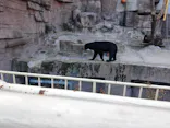 天王寺動物園に投稿された画像（2023/1/8）