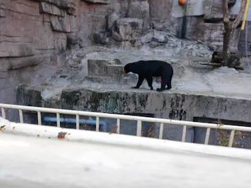 天王寺動物園に投稿された画像（2023/1/8）