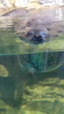 アクアワールド茨城県大洗水族館に投稿された画像（2023/1/8）