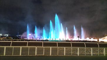 東京メガイルミに投稿された画像（2023/1/8）