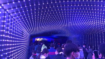 東京メガイルミに投稿された画像（2023/1/8）