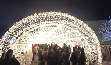 東京メガイルミに投稿された画像（2023/1/8）